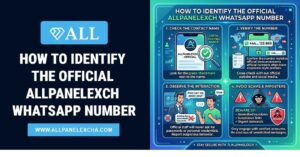 Guide showing how to verify the official Allpanelexch WhatsApp Number and avoid fake contact sources.