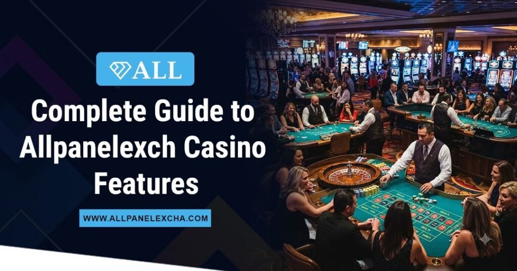 Allpanelexch casino features and platform overview explained in a beginner-friendly guide